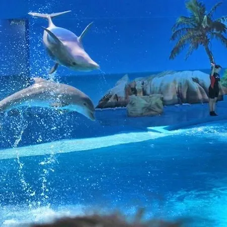 60m2 Lovely Traditional In Clube