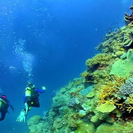 60m2 Lovely Traditional In Clube Albufeira