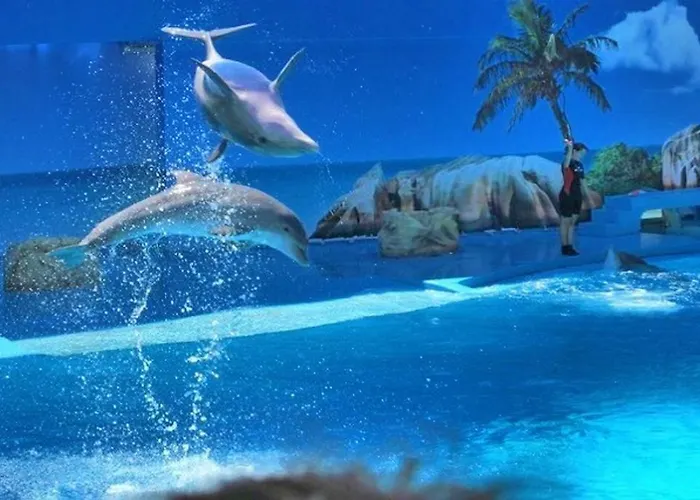 60m2 Lovely Traditional In Clube