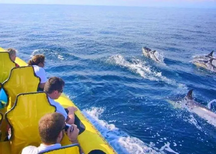 60m2 Lovely Traditional In Clube